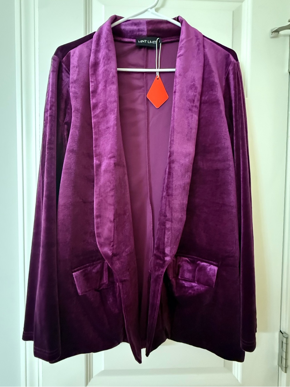 MINTLIMIT Women's Shawl Collar Open-Front Velvet Blazer in Purple, New, Large